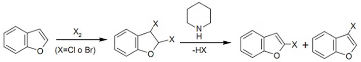 Halogenación de benzofurano.png