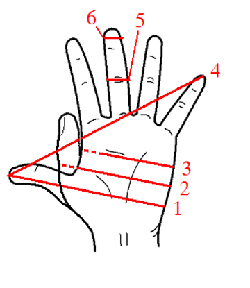 Hand (unit)