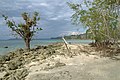Havelock Island, Beach, Andamans.jpg
