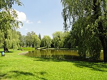Teich im ehemaligen Henneberggarten