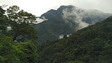 Moist broadleaf forest in Mudumalai National Park Hidden Beauty of Nilgiris 03.jpg