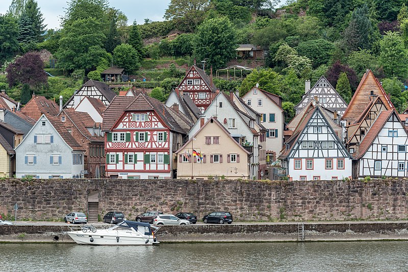 File:Hirschhorn (Neckar), Westliche Altstadt, Ansicht von Osten 20170602 003.jpg