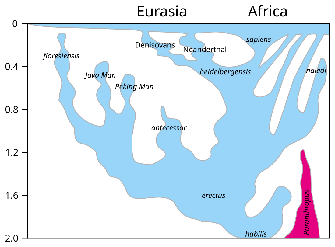 Taxonomía humana