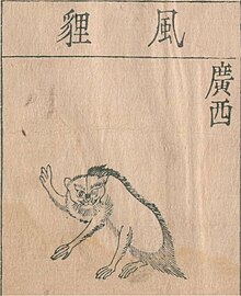 Honzokomoku(1653)(34)Bk51-fol03rD-furi.jpg