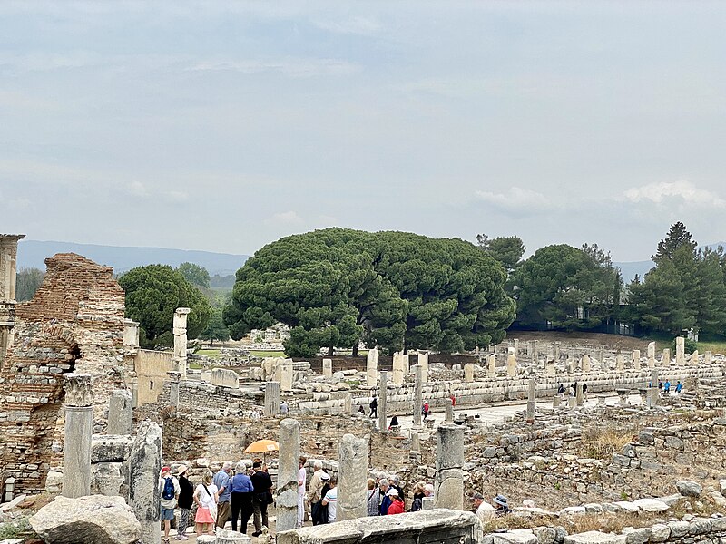 File:House Ruins, Ephesus Archaeological Site, Selcuk, Turkiye (53528101829).jpg