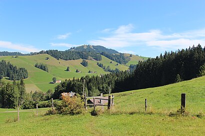 How to get to Hundwilerhöhe with public transit - About the place