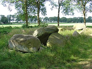 Hunebed D51 bij Noord-Sleen