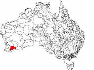 <span class="mw-page-title-main">Western Mallee</span> Biioregion in Western Australia