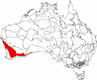 <span class="mw-page-title-main">Transitional Rainfall Zone</span>