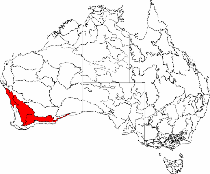 File:IBRA 6.1 Transitional Rainfall Zone.png