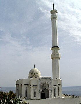 Ibrahim-al-Ibrahim Mosque west.jpg
