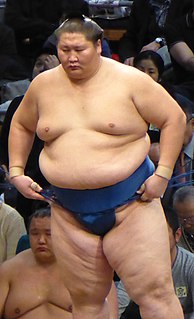 Ichinojō Takashi Mongolian sumo wrestler