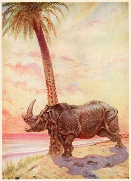 File:Illustration to How the Rhinoceros Got His Skin (Doubleday ed.).jpg