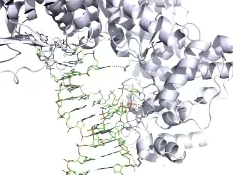 Iron response element