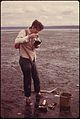 JIM POTH OF SEATTLE SHUCKS AND EATS OYSTERS ON THE PUBLIC TIDELANDS OF THE HOOD CANAL AT BRINNON, ON THE EAST COAST... - NARA - 552289.jpg