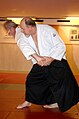 Jan hermansson.aikido.b8dn3996365.jpg