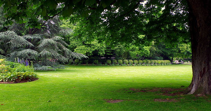 File:Jardin du Luxembourg - Pelouse et massifs de plantes.JPG