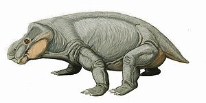 Dicynodontia: Merkmale und Entwicklungsgeschichte, Systematik, Literatur