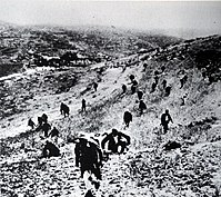 1948 Palestine War