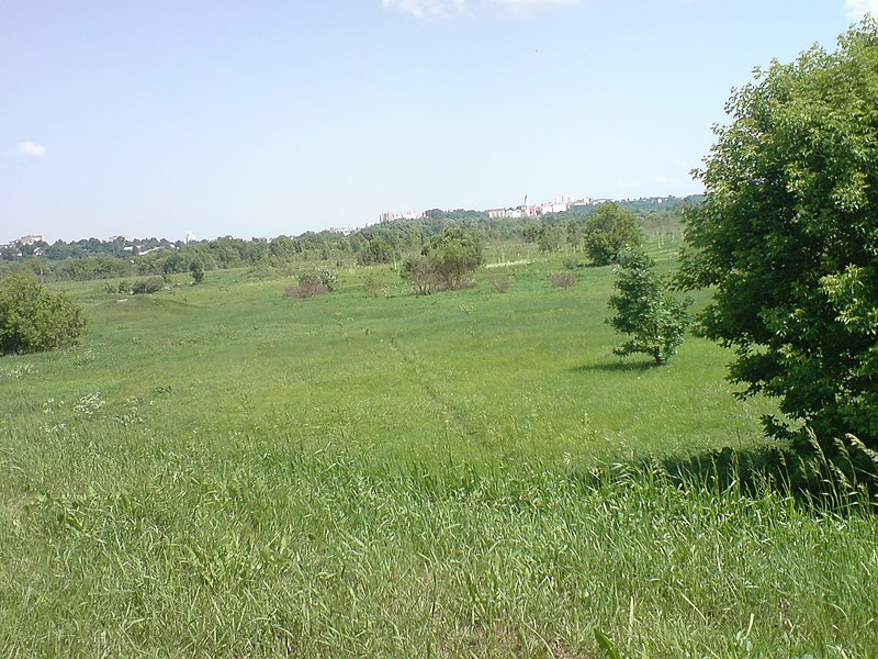 File:Kastryčnicki District, Mogilev, Belarus - panoramio (67).jpg