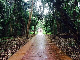 Kavu sacred groves in Kerala, India