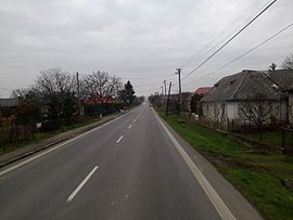 Krčava road.jpg