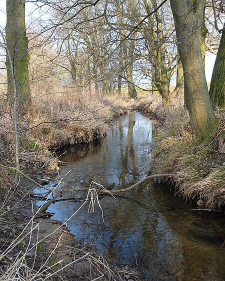 Krummbach (Cunnersdorfer Wasser)