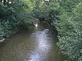 The Versoix river (montains direction)