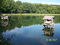 Lago di Mongiana