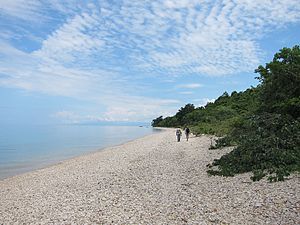 Plaža u Nacionalnom parku Gombe Strim