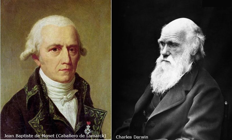 File:Lamarck-Darwin.jpg