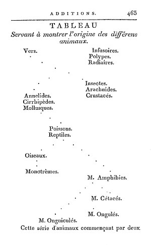 Jean-Baptiste De Lamarck: Biographie, Opinions religieuses, Contributions