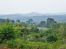 Landschap nabij Mbazzi