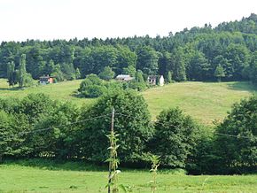 Laubenheim-Vallée de la Magel (2).jpg