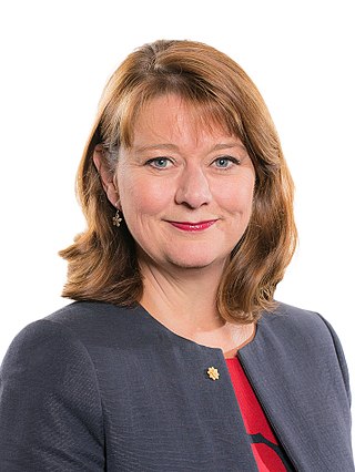 <span class="mw-page-title-main">Leanne Wood</span> Former Leader of Plaid Cymru