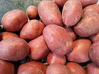 Lebensmittel-KartoffelsorteLaura1-Asio.jpg
