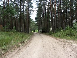 Leipalingio sen., Lithuania - panoramio (32).jpg