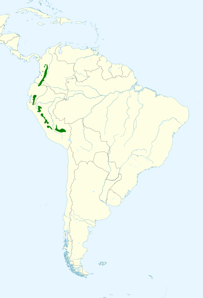 File:Leptosittaca branickii map.svg