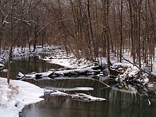 Winter along the Little Calumet River, passing through a floodplain forest at the Bailly Homestead Little Calumet River at Bailly Homestead Indiana Dunes NL PC160148.JPG