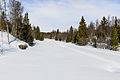 * Nomination River Ljungan covered in ice and snow. --ArildV 13:53, 1 April 2013 (UTC) * Promotion Good quality. --Nino Verde 14:37, 1 April 2013 (UTC)