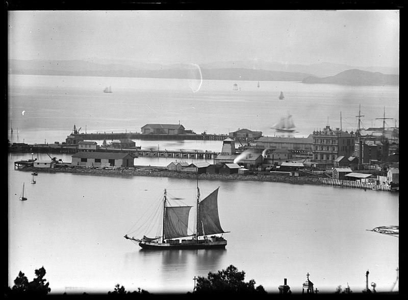 File:Looking north east from Bishops Palace, Ponsonby.jpg