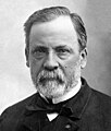 French biologist Louis Pasteur (1822-1895), 1878 (detail).