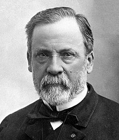 Louis Pasteur: Kímiko Hyãsia pegua