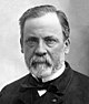 Louis Pasteur.jpg