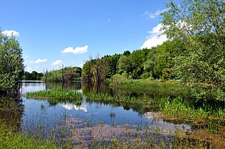 Andechs, OT Machtlfing. Moorsee in der Moränenlandschaft der Seacht’n im Landschaftsschutzgebiet „Westlicher Teil des Landkreises Starnberg“