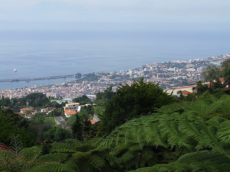 File:Madeira - Monte - Jardim Tropico (2092629123).jpg