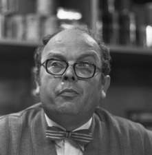 Piet Kamerman