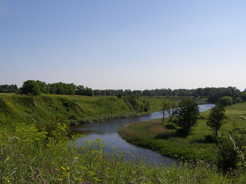 Файл:Marijampole piliakalnis 20100709 1.JPG