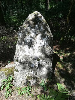 Immagine illustrativa dell'articolo di Menhir de la Crosse