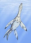 Rhomaleosaurus